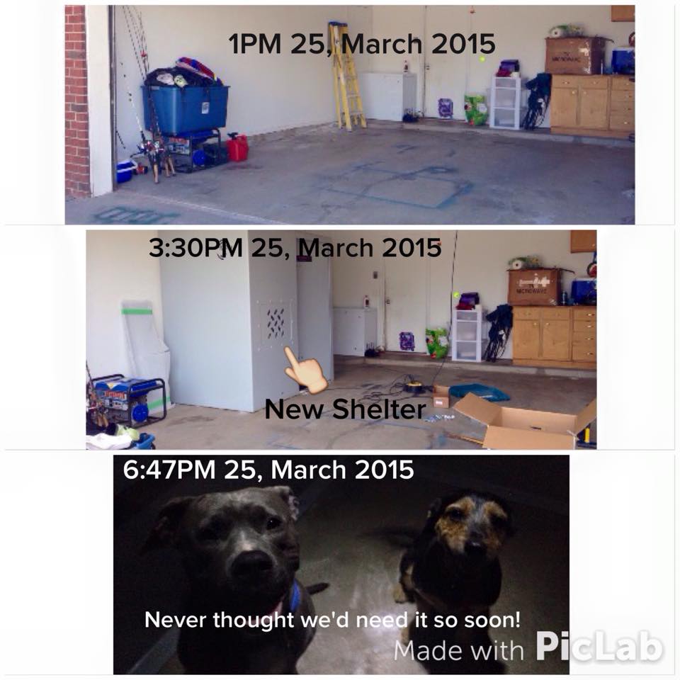 A before and after picture of a shelter install, and a photo of the family's dog's inside the shelter, during an EF1 tornado.