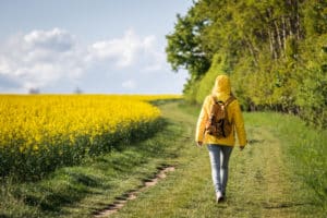 spring walk in rural scene