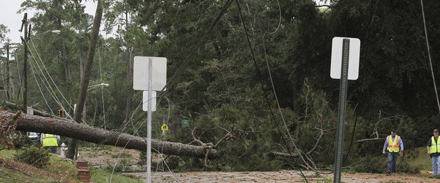 sas blog wind damage georgia