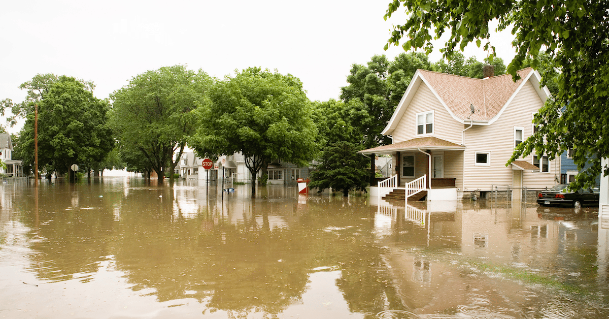 a residential area with standing flood waters. No street is visible.