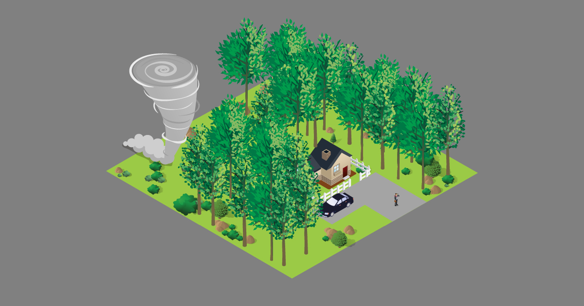 An illustration of a home in Dixie Alley surrounded by trees, making visibility of a tornado more difficult. A man stands in the driveway, unable to see the twister.