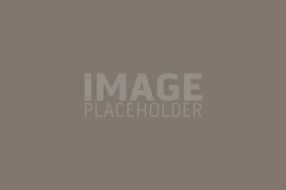 image-placeholder